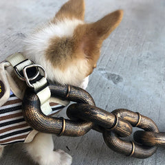 Plastic Simulation Pet Leash